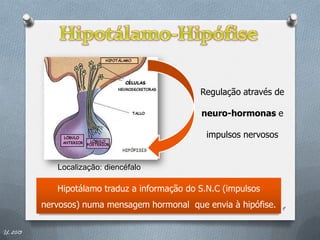 Regulação através de

                                               neuro-hormonas e

                                                 impulsos nervosos


             Localização: diencéfalo

             Hipotálamo traduz a informação do S.N.C (impulsos
          nervosos) numa mensagem hormonal que envia à hipófise.     9


IL 2013
 