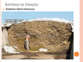 SISTEMAS DE CRIAÇÃO
   Sistema Semi-Intensivo
 