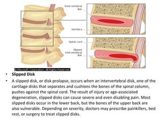 6. skeletal system | PPT