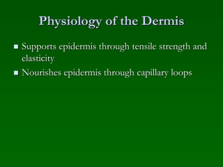 Physiology of the Dermis
 Supports epidermis through tensile strength and
elasticity
 Nourishes epidermis through capillary loops
 