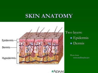 SKIN ANATOMY
Two layers:
 Epidermis
 Dermis
Photo from
www.medlineplus.gov
 