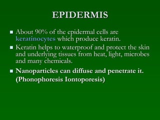 EPIDERMIS
 About 90% of the epidermal cells are
keratinocytes which produce keratin.
 Keratin helps to waterproof and protect the skin
and underlying tissues from heat, light, microbes
and many chemicals.
 Nanoparticles can diffuse and penetrate it.
(Phonophoresis Iontoporesis)
 