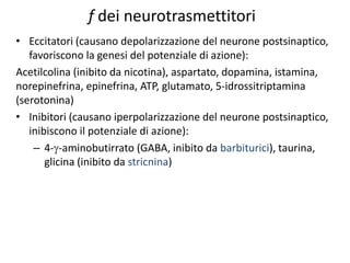 f dei neurotrasmettitori
• Eccitatori (causano depolarizzazione del neurone postsinaptico,
favoriscono la genesi del potenziale di azione):
Acetilcolina (inibito da nicotina), aspartato, dopamina, istamina,
norepinefrina, epinefrina, ATP, glutamato, 5-idrossitriptamina
(serotonina)
• Inibitori (causano iperpolarizzazione del neurone postsinaptico,
inibiscono il potenziale di azione):
– 4--aminobutirrato (GABA, inibito da barbiturici), taurina,
glicina (inibito da stricnina)
 