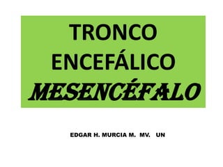 TRONCO
 ENCEFÁLICO
MESENCÉFALO
  EDGAR H. MURCIA M. MV.   UN
 
