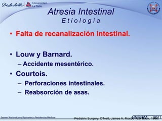 Atresia Intestinal
                 Etiología

• Falta de recanalización intestinal.

• Louw y Barnard.
  – Accidente mesentérico.
• Courtois.
  – Perforaciones intestinales.
  – Reabsorción de asas.



                     Pediatric Surgery. O’Neill, James A. Mosby Year Book. 1998.
 