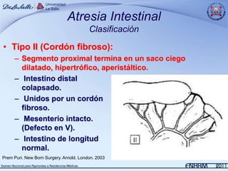 Atresia Intestinal
                                         Clasificación
• Tipo II (Cordón fibroso):
     – Segmento proximal termina en un saco ciego
       dilatado, hipertrófico, aperistáltico.
     – Intestino distal
       colapsado.
     – Unidos por un cordón
       fibroso.
     – Mesenterio intacto.
       (Defecto en V).
     – Intestino de longitud
       normal.
Prem Puri. New Born Surgery. Arnold. London. 2003
 