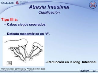 Atresia Intestinal
                                         Clasificación
Tipo III a:
   – Cabos ciegos separados.

   – Defecto mesentérico en „V‟.




                                                    –Reducción en la long. Intestinal.
Prem Puri. New Born Surgery. Arnold. London. 2003
 