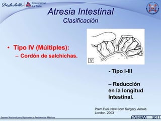 Atresia Intestinal
                   Clasificación



• Tipo IV (Múltiples):
  – Cordón de salchichas.

                                       - Tipo I-III

                                       – Reducción
                                       en la longitud
                                       Intestinal.

                              Prem Puri. New Born Surgery. Arnold.
                              London. 2003
 