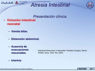 Atresia Intestinal

                       Presentación clínica.
• Oclusión intestinal
  neonatal

   – Vómito biliar.

   – Distensión abdominal.

   – Ausencia de
     evacuaciones        Intestinal Obstruction in Neonatal / Pediatric Surgery. Semin.
     meconiales.         Pediatr. Surg. 12(4). Nov 2003.



   – Ictericia
 
