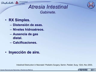 Atresia Intestinal
                                  Gabinete.

• RX Simples.
  – Distensión de asas.
  – Niveles hidroaéreos.
  – Ausencia de gas
    distal.
  – Calcificaciones.


• Inyección de aire.


      Intestinal Obstruction in Neonatal / Pediatric Surgery. Semin. Pediatr. Surg. 12(4). Nov 2003.
 