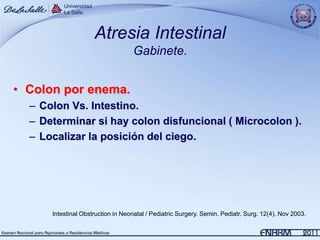 Atresia Intestinal
                                   Gabinete.


• Colon por enema.
  – Colon Vs. Intestino.
  – Determinar si hay colon disfuncional ( Microcolon ).
  – Localizar la posición del ciego.




      Intestinal Obstruction in Neonatal / Pediatric Surgery. Semin. Pediatr. Surg. 12(4). Nov 2003.
 