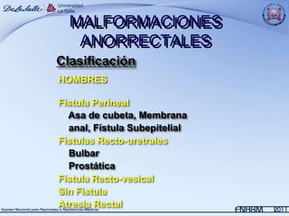 MALFORMACIONES
   ANORRECTALES
Clasificación
HOMBRES

Fístula Perineal
  Asa de cubeta, Membrana
  anal, Fístula Subepitelial
Fístulas Recto-uretrales
  Bulbar
  Prostática
Fístula Recto-vesical
Sin Fístula
Atresia Rectal
 