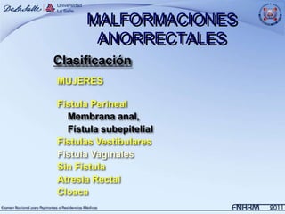 MALFORMACIONES
       ANORRECTALES
Clasificación
MUJERES

Fístula Perineal
  Membrana anal,
  Fístula subepitelial
Fístulas Vestibulares
Fístula Vaginales
Sin Fístula
Atresia Rectal
Cloaca
 