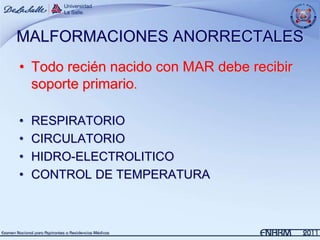 MALFORMACIONES ANORRECTALES
• Todo recién nacido con MAR debe recibir
  soporte primario.

•   RESPIRATORIO
•   CIRCULATORIO
•   HIDRO-ELECTROLITICO
•   CONTROL DE TEMPERATURA
 