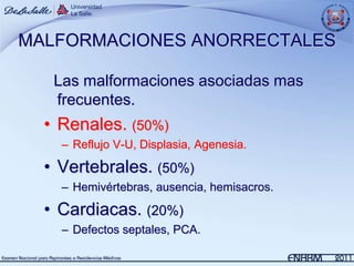 MALFORMACIONES ANORRECTALES

   Las malformaciones asociadas mas
   frecuentes.
  • Renales. (50%)
    – Reflujo V-U, Displasia, Agenesia.

  • Vertebrales. (50%)
    – Hemivértebras, ausencia, hemisacros.

  • Cardiacas. (20%)
    – Defectos septales, PCA.
 