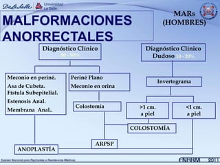 MARs
MALFORMACIONES                                             (HOMBRES)

ANORRECTALES
              Diagnóstico Clínico                  Diagnóstico Clínico
                        80 - 90%                     Dudoso 10 - 20%


Meconio en periné.          Periné Plano
                                                          Invertograma
Asa de Cubeta.              Meconio en orina
Fístula Subepitelial.
Estenosis Anal.
                              Colostomía         >1 cm.             <1 cm.
Membrana Anal..
                                                 a piel             a piel

                                               COLOSTOMÍA

                                     ARPSP
    ANOPLASTÍA
 