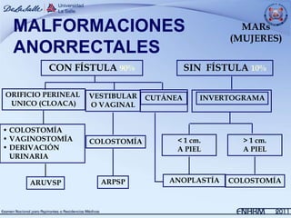MALFORMACIONES                                     MARs
                                                   (MUJERES)
  ANORRECTALES
         CON FÍSTULA 90%                   SIN FÍSTULA 10%

ORIFICIO PERINEAL   VESTIBULAR   CUTÁNEA     INVERTOGRAMA
 UNICO (CLOACA)     O VAGINAL


• COLOSTOMÍA
• VAGINOSTOMÍA      COLOSTOMÍA         < 1 cm.       > 1 cm.
• DERIVACIÓN                           A PIEL        A PIEL
  URINARIA


     ARUVSP           ARPSP          ANOPLASTÍA    COLOSTOMÍA
 