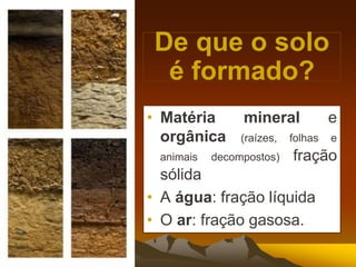 • Matéria mineral e
orgânica (raízes, folhas e
animais decompostos) fração
sólida
• A água: fração líquida
• O ar: fração gasosa.
De que o solo
é formado?
 