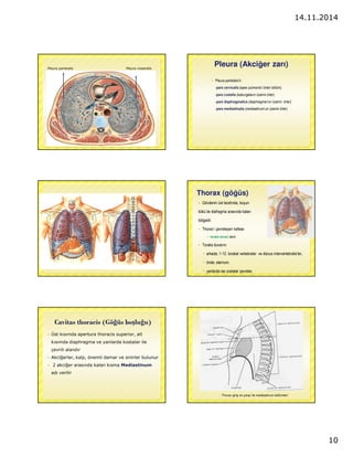 14.11.2014 
10 
Pleura parietalis Pleura visseralis 
Pleura (Akciger zarı) 
 Pleura parietalis’in 
-pars cervicalis (apex pulmonis’i örten bölüm) 
-pars costalis (kaburgaların üzerini örter) 
-pars diaphragmatica (diaphragma’nın üzerini örter) 
-pars mediastinalis (mediastinum’un üzerini örter) 
Thorax (gögüs) 
 Gövdenin üst tarafında, boyun 
kökü ile diafragma arasında kalan 
bölgedir. 
 Thorax’ı çevreleyen kafese 
 toraks duvarı denir. 
 Toraks duvarını 
 arkada; 1-12. torakal vertebralar ve discus intervertebralis’ler, 
 önde; sternum, 
 yanlarda ise costalar çevreler. 
CCaavviittaass tthhoorraacciiss ((GGöögüüss bbooslluuguu)) 
 Üst kısımda apertura thoracis superior, alt 
kısımda diaphragma ve yanlarda kostalar ile 
çevrili alandır 
 Akcigerler, kalp, önemli damar ve sinirler bulunur 
 2 akciger arasında kalan kısma Mediastinum 
adı verilir 
Thorax giris ve çıkısı ile mediastinum bölümleri 
 