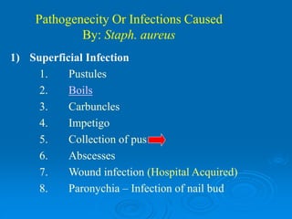 Staphylococci lesson very imprtant for | PPT