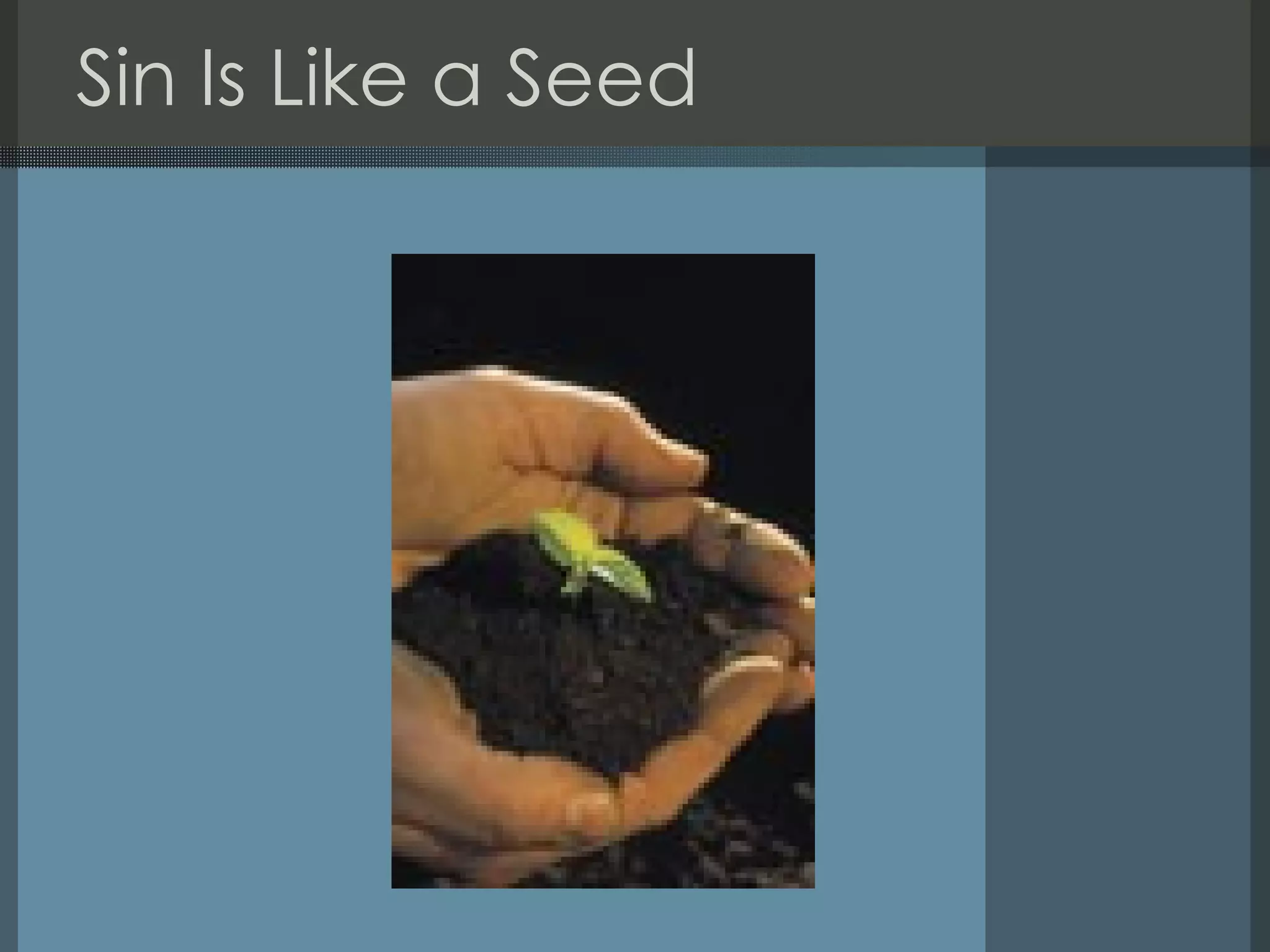 Sin Is Like a Seed  