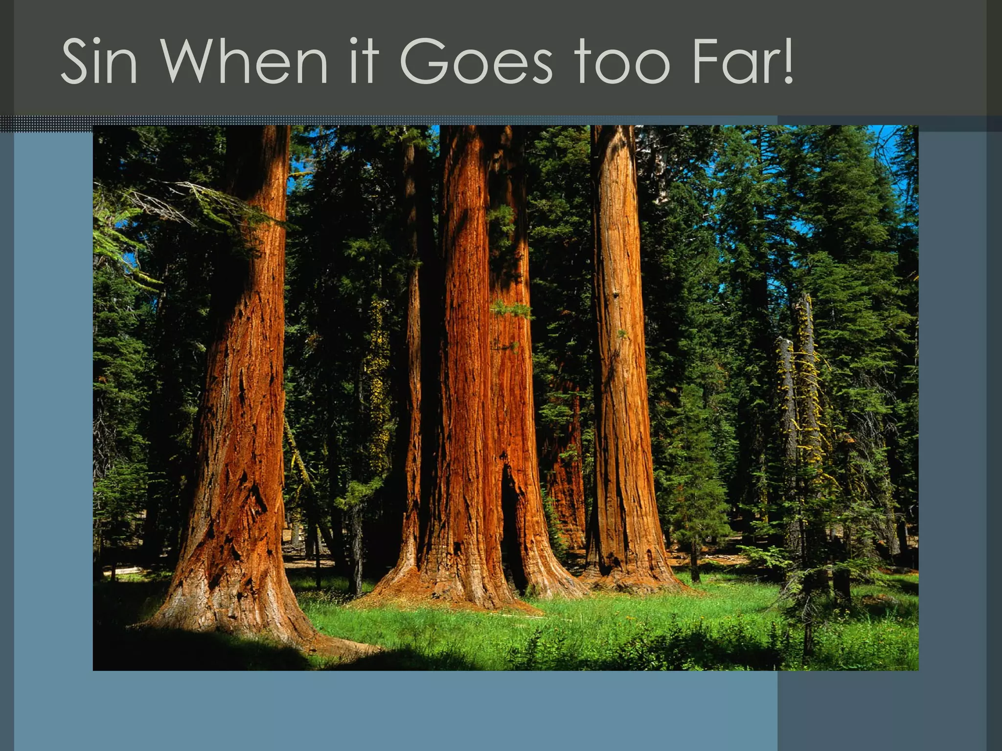 Sin When it Goes too Far! 