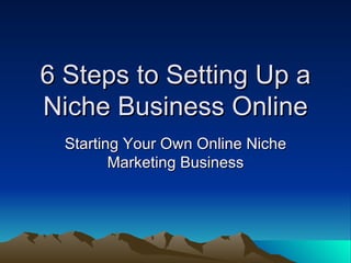 6 Steps to Setting Up a Niche Business Online Starting Your Own Online Niche Marketing Business 