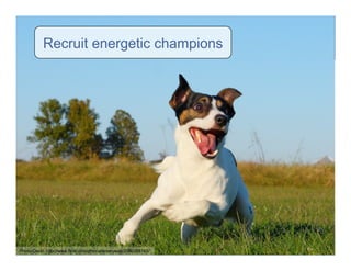 Six Steps To  Successful  Socialtext  Implementation  and Adoption