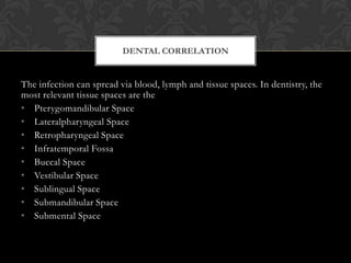 DENTAL CORRELATION


The infection can spread via blood, lymph and tissue spaces. In dentistry, the
most relevant tissue spaces are the
• Pterygomandibular Space
• Lateralpharyngeal Space
• Retropharyngeal Space
• Infratemporal Fossa
• Buccal Space
• Vestibular Space
• Sublingual Space
• Submandibular Space
• Submental Space
 