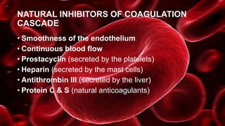 NATURAL INHIBITORS OF COAGULATION
CASCADE
• Smoothness of the endothelium
• Continuous blood flow
• Prostacyclin (secreted by the platelets)
• Heparin (secreted by the mast cells)
• Antithrombin III (secreted by the liver)
• Protein C & S (natural anticoagulants)
 