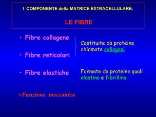 6.tcpd ecm + cellule ridotte x studenti 6 11 2012