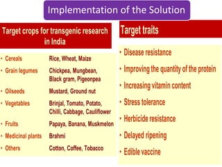 Implementation of the Solution
 