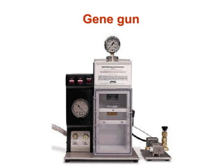 Gene gun
 