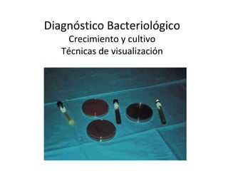 Diagnóstico Bacteriológico
     Crecimiento y cultivo
   Técnicas de visualización
 