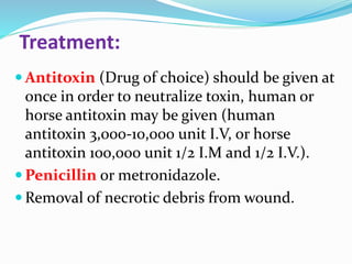 Treatment:
 Antitoxin (Drug of choice) should be given at
once in order to neutralize toxin, human or
horse antitoxin may be given (human
antitoxin 3,000-10,000 unit I.V, or horse
antitoxin 100,000 unit 1/2 I.M and 1/2 I.V.).
 Penicillin or metronidazole.
 Removal of necrotic debris from wound.
 