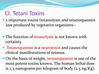 Cl. Tetani Toxins
 2 important toxins (tetanolysin and tetanospasmin
)are produced by vegetative organisms:-
 The function of tetanolysin is not known with
certainty.
 Tetanospasmin is a neurotoxin and causes the
clinical manifestations of tetanus.
 On the basis of weight, tetanospasmin is one of the
most potent toxins known. The human lethal dose
is 2.5 nanograms per kilogram of body (2.5 ng/Kg).
 