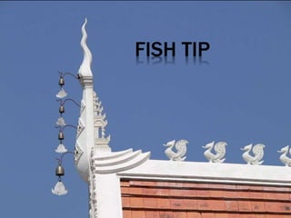 FISH TIP
 