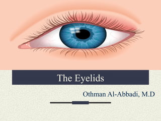 The Eyelids
Othman Al-Abbadi, M.D
 