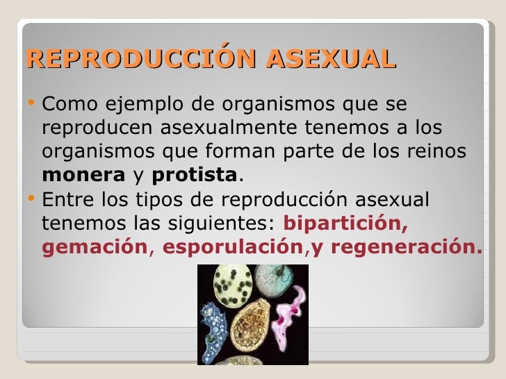 tipos de reproducción 1 tipos de reproducción 1