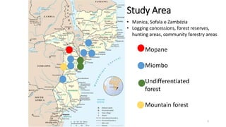 Study Area
3
Mopane
Miombo
Undifferentiated
forest
Mountain forest
• Manica, Sofala e Zambézia
• Logging concessions, fore...