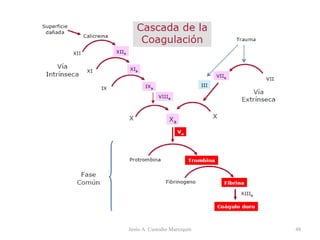 Jesús A. Custodio Marroquín 