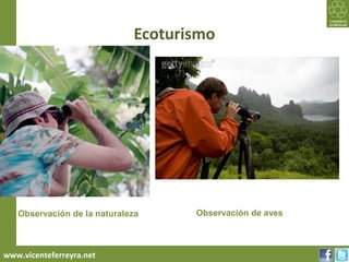 Ecoturismo
Turismo Sustentable 2012




                           Observación de la naturaleza     Observación de aves



     www.vicenteferreyra.net
 