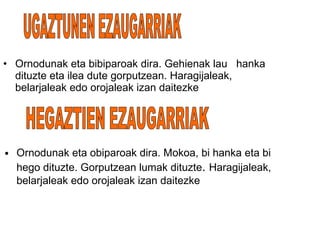 Ornodunak eta bibiparoak dira. Gehienak lau  hanka dituzte eta ilea dute gorputzean. Haragijaleak, belarjaleak edo orojaleak izan daitezke UGAZTUNEN EZAUGARRIAK HEGAZTIEN EZAUGARRIAK Ornodunak eta obiparoak dira. Mokoa, bi hanka eta bi hego dituzte. Gorputzean lumak dituzte .  Haragijaleak, belarjaleak edo orojaleak izan daitezke 