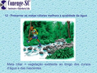 12 - Preservar as matas ciliares melhora a qualidade da água.




 Mata ciliar = vegetação existente ao longo dos cursos
 d’água e das nascentes.
 