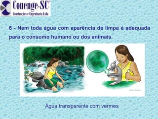 6 - Nem toda água com aparência de limpa é adequada
para o consumo humano ou dos animais.




             Água transparente com vermes
 
