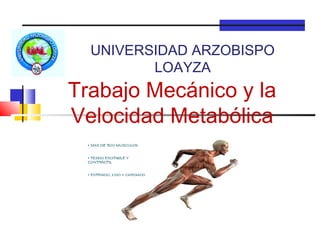 UNIVERSIDAD ARZOBISPO
         LOAYZA
Trabajo Mecánico y la
Velocidad Metabólica
 