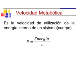 Velocidad Metabólica

Es la velocidad de utilización de la
energía interna de un sistema(cuerpo).
 