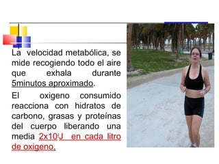 La velocidad metabólica, se
mide recogiendo todo el aire
que      exhala     durante
5minutos aproximado.
El     oxigeno consumido
reacciona con hidratos de
carbono, grasas y proteínas
del cuerpo liberando una
media 2x104J en cada litro
de oxigeno.
 
