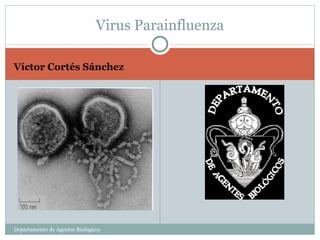 [object Object],Virus Parainfluenza Departamento de Agentes Biológicos 