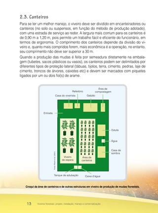 13 Viveiros florestais: projeto, instalação, manejo e comercialização
2.3. Canteiros
Para se ter um melhor manejo, o viveiro deve ser dividido em encanteiradores ou
canteiros (no solo ou suspensos, em função do método de produção adotado),
com uma estrada de serviço ao redor. A largura mais comum para os canteiros é
de 0,90 m a 1,20 m, pois permite um trabalho fácil e eficiente do funcionário, em
termos de ergonomia. O comprimento dos canteiros depende da divisão do vi-
veiro e, quanto mais compridos forem, mais econômica é a operação, no entanto,
seu comprimento não deve ser superior a 30 m.
Quando a produção das mudas é feita por semeadura diretamente na embala-
gem (tubetes, sacos plásticos ou vasos), os canteiros podem ser delimitados por
diferentes tipos de proteção lateral (tábuas, tijolos, terra, cimento, pedras, laje de
cimento, troncos de árvores, caixotes etc) e devem ser marcados com piquetes
ligados por um ou dois fio(s) de arame.
Estufa
Casa de
sombra
Entrada
Casa do viveirista
Refeitório
Galpão
Área de
compostagem
Área de
canteiros
Viveiro
de espera
Tanque de adubação Caixa d’água
Fonte:Ribeiroetal.(2001)
Água
Croqui da área de canteiros e de outras estruturas em viveiro de produção de mudas florestais.
 